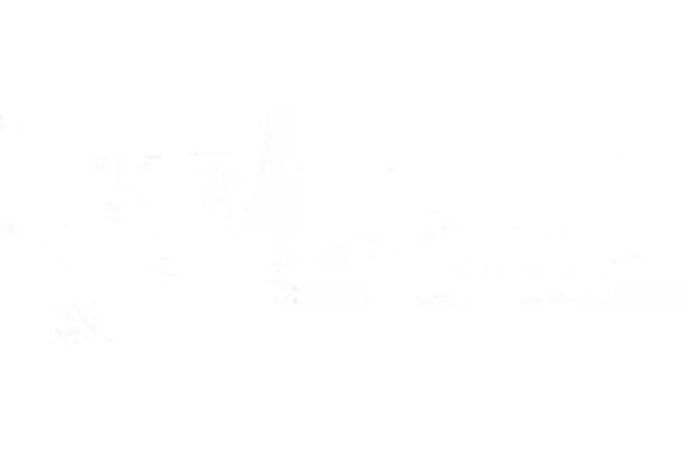 Untitled design 11 768x507